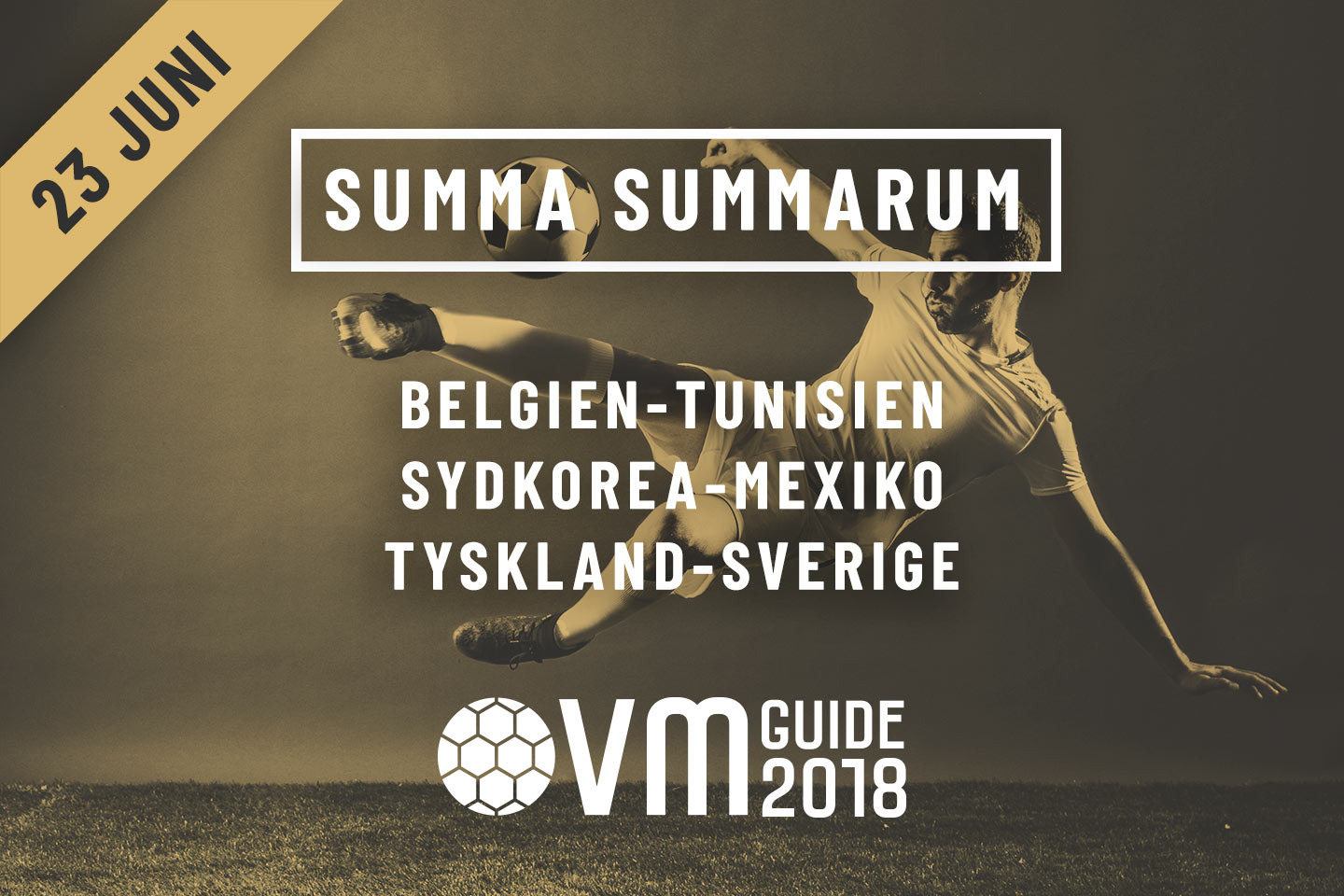 Summa Summarum 23 juni VM i Ryssland 2018